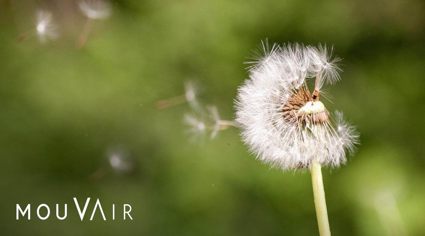 ¿Cómo saber si soy alérgico a la primavera? - Mouvair