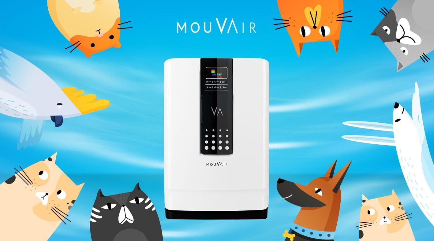 Conversando en Mouvair: Tips para vivir con tu gato en casa (y no morir en el intento) - Mouvair