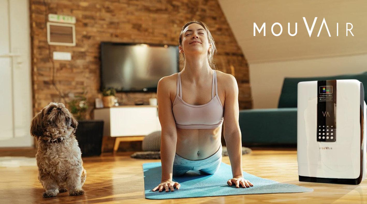 Más allá de las alergias: Conoce qué otros usos puedes darle a tu purificador de aire - Mouvair