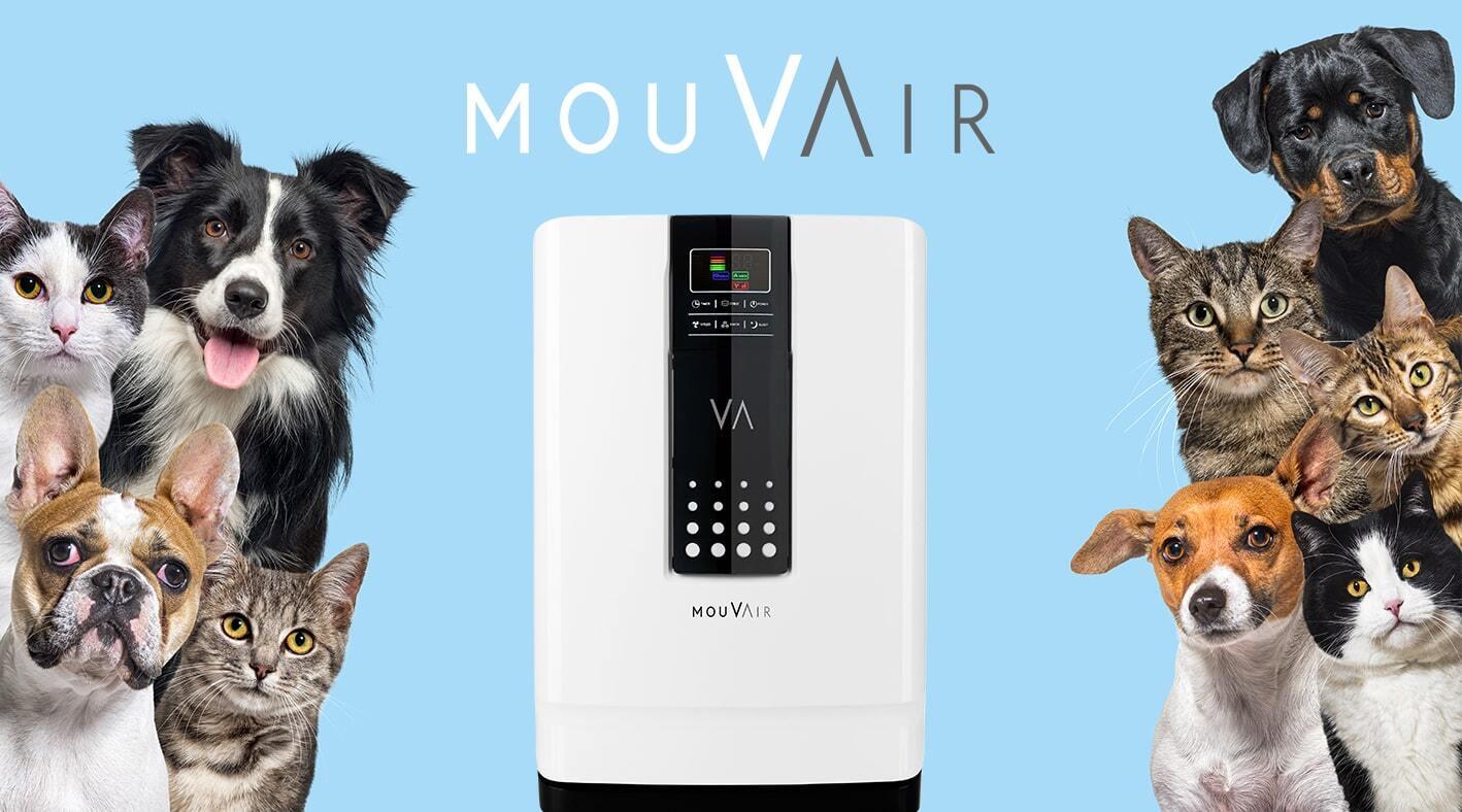 Purificador de aire y mascotas: ¿Es realmente efectivo? - Mouvair