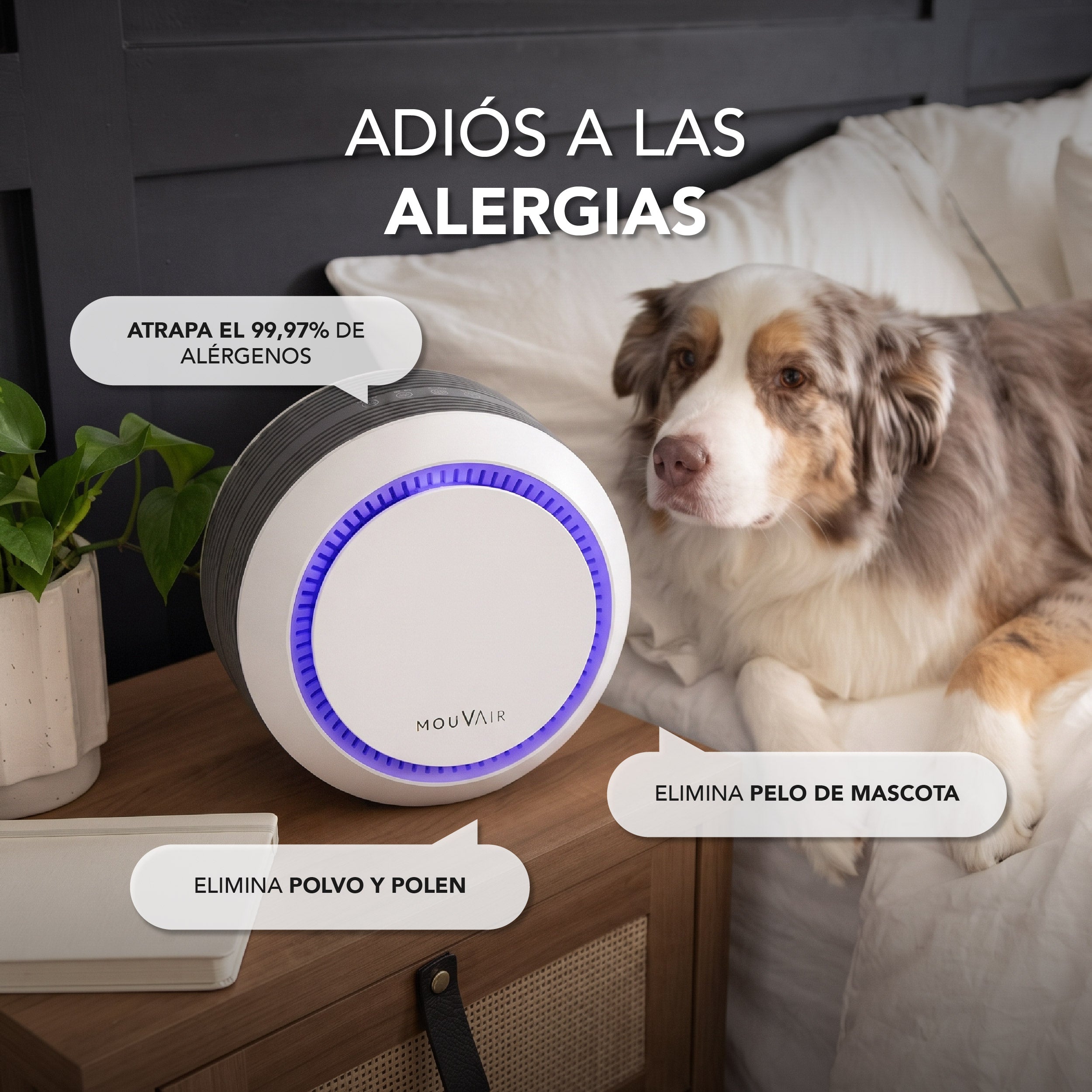 Purificador de Aire Mouvair Om