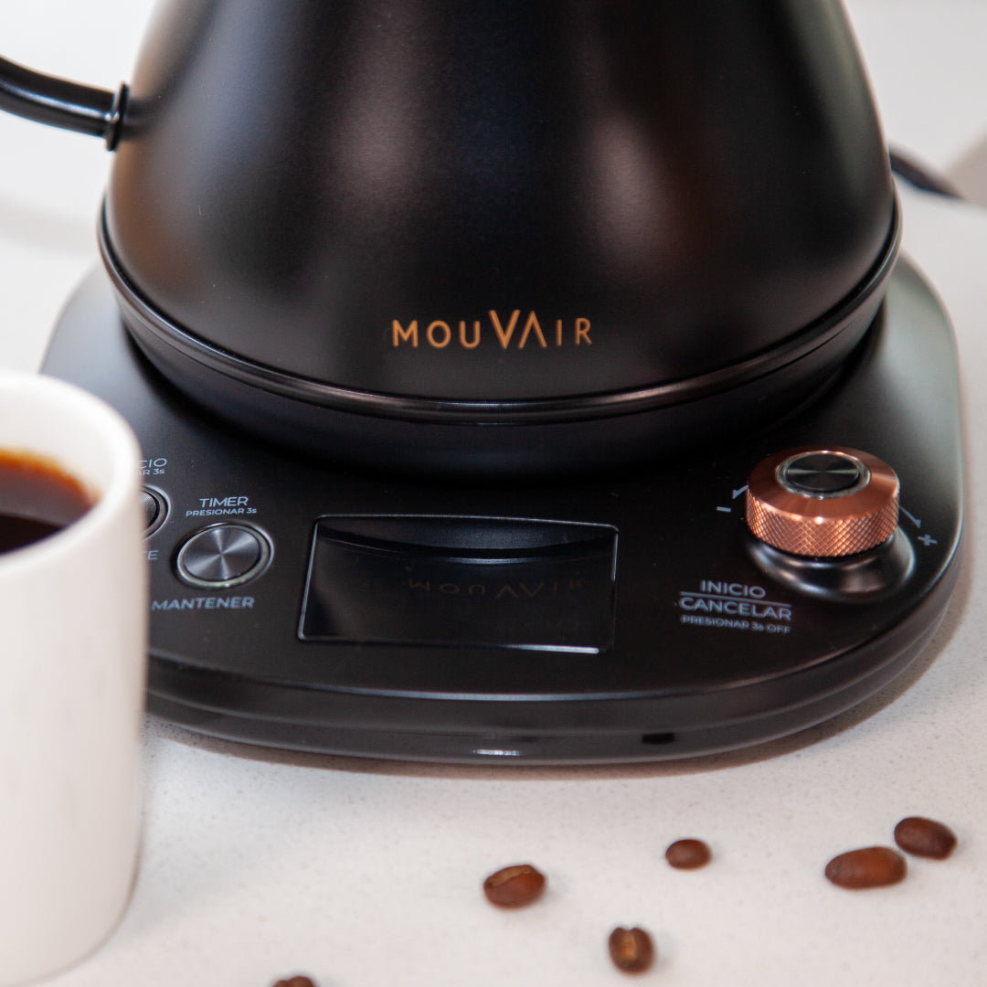 Hervidor Eléctrico Inteligente Cuello Cisne Mouvair Swan