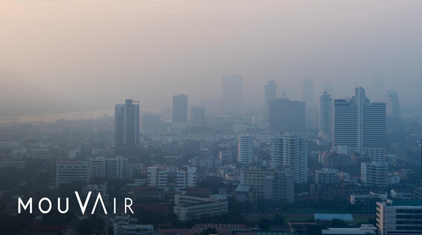 ¿Cuándo comenzó la contaminación ambiental y por qué se agudizó? - Mouvair