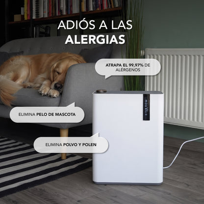 Purificador de aire Mouvair Calm + Filtro HEPA H13