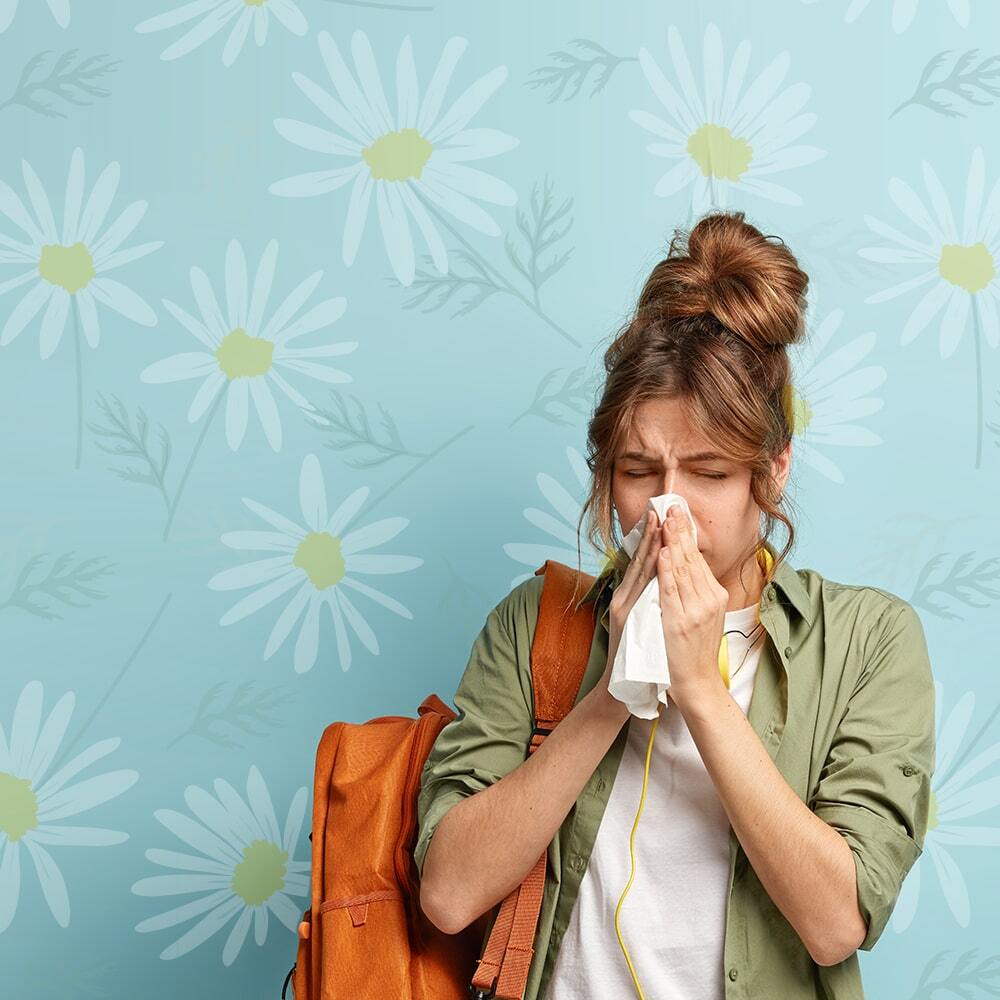 purificador de aire para alergias