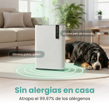Purificador de aire Mouvair Calm + Filtro HEPA H13