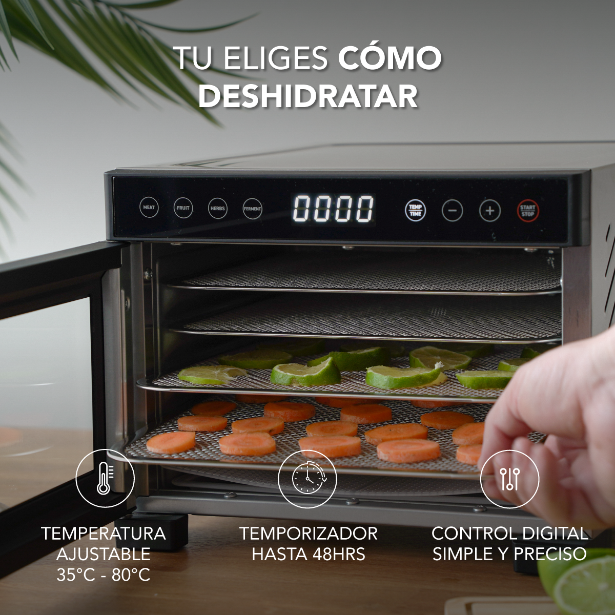 Deshidratador de Alimentos Mouvair Dry